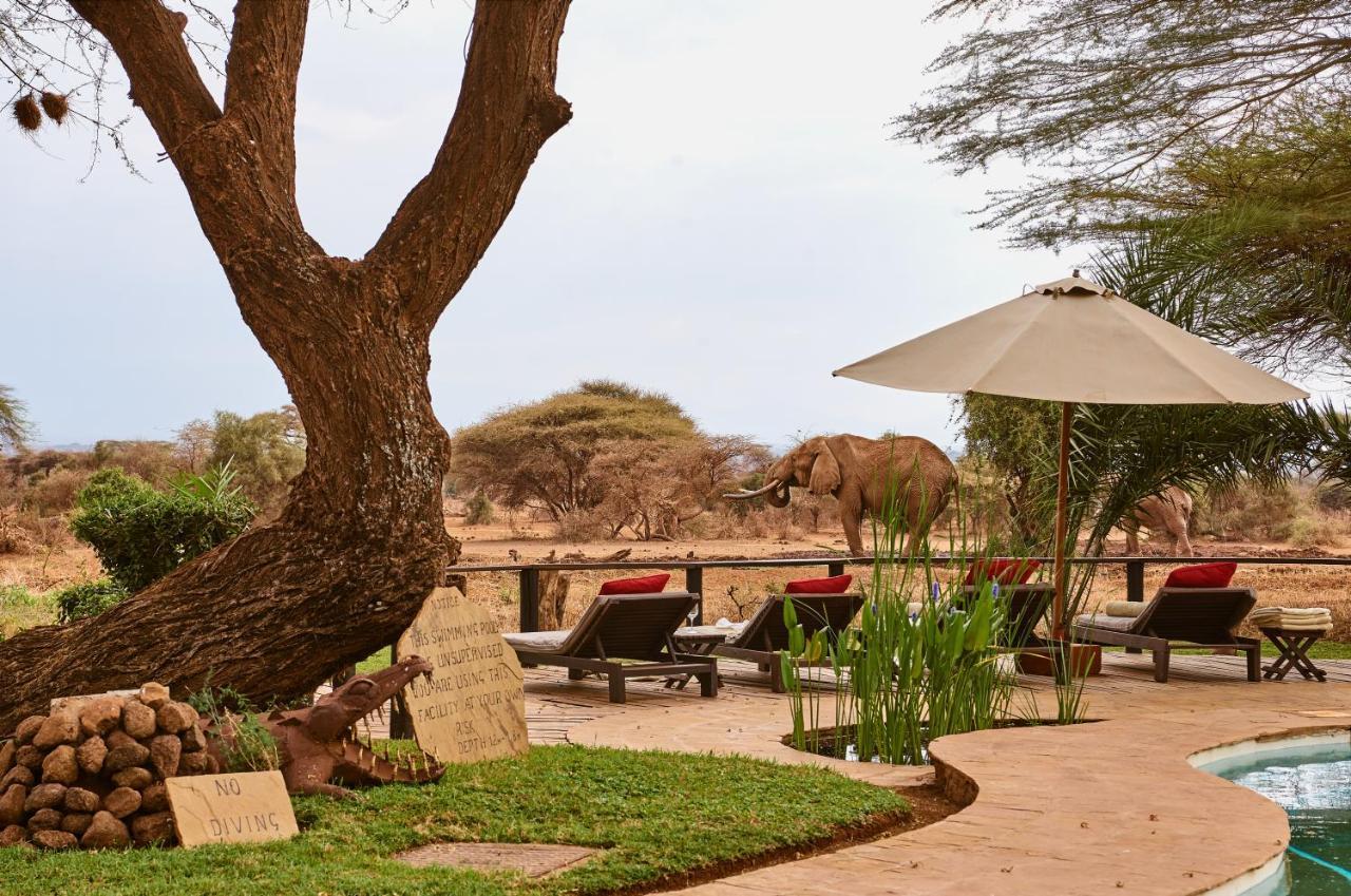 Tawi Lodge أمبوسيلي المظهر الخارجي الصورة